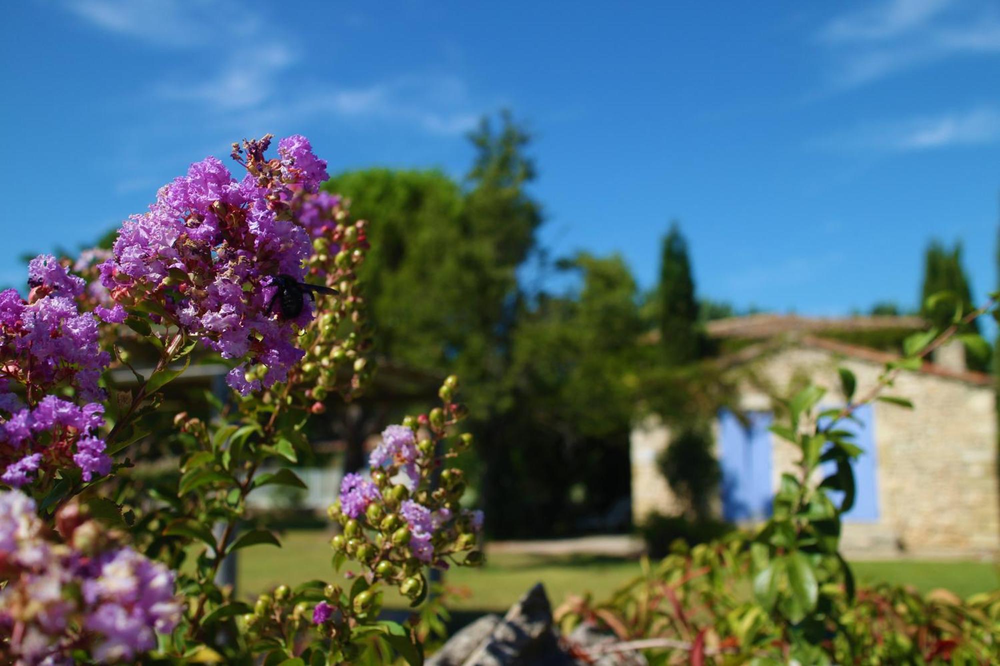 Mas Orea Gordes Bagian luar foto